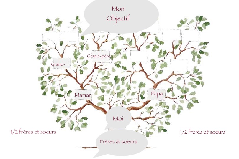 Arbre familial